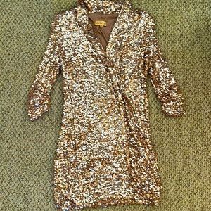 BRAND NEW! NEVER WORN ! Sparkle Blazer dress